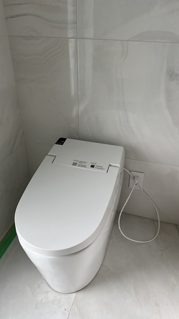 Smart Toilet Installation