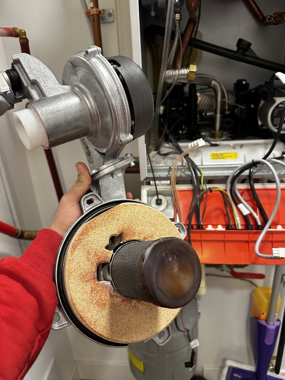 Viessmann Condensing Boiler Maintenance & Igniter Replacement