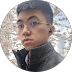 Martin Labrador Profile